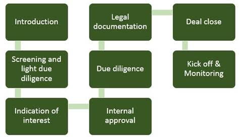 Cope Private Equity - The investment process